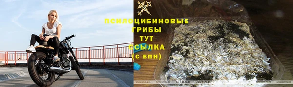 прущая мука Няндома