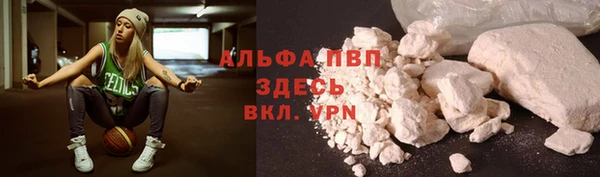 мяу мяу мука Абаза