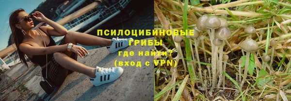 мяу мяу мука Абаза