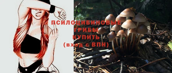 метадон Абинск
